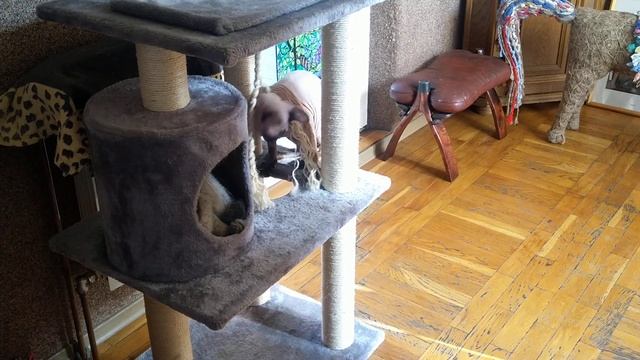 Уходи из моего дома! смотреть онлайн