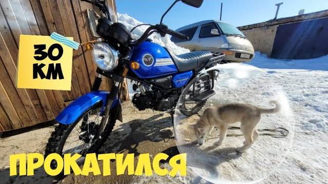 МОПЕД АЛЬФА "КОЛЬТ" прохват и немного дачи. смотреть онлайн