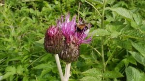 Чарующая красота природы севера России