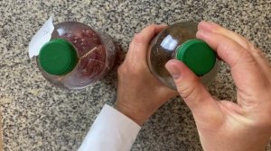 Фруктовые дрожжи - вариант закваски