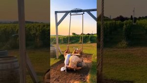 смешные моменты ч. 5 (только лучшее)