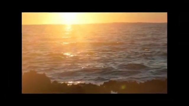 Срочно-₽/Курби асори имруз БОЛО рафт 26.02.2023 смотреть онлайн