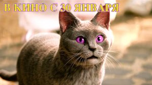 ≪Школа магических зверей. Загадка волшебного леса≫ - в кино с 30 января 2025 г. (трейлер, дубляж)