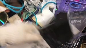 УРА СВАЛКА!😍В ПОИСКАХ КЛАДА В СЕКОНД ХЕНД НА ВЕС