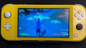 Fortnite #36. Toona Fish gameplay. Nintendo Switch.