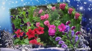 Татьянин день.... В исполнении   Татьяны Михайловой