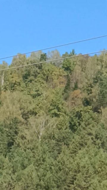 Мы на маменом день рождении смотреть онлайн