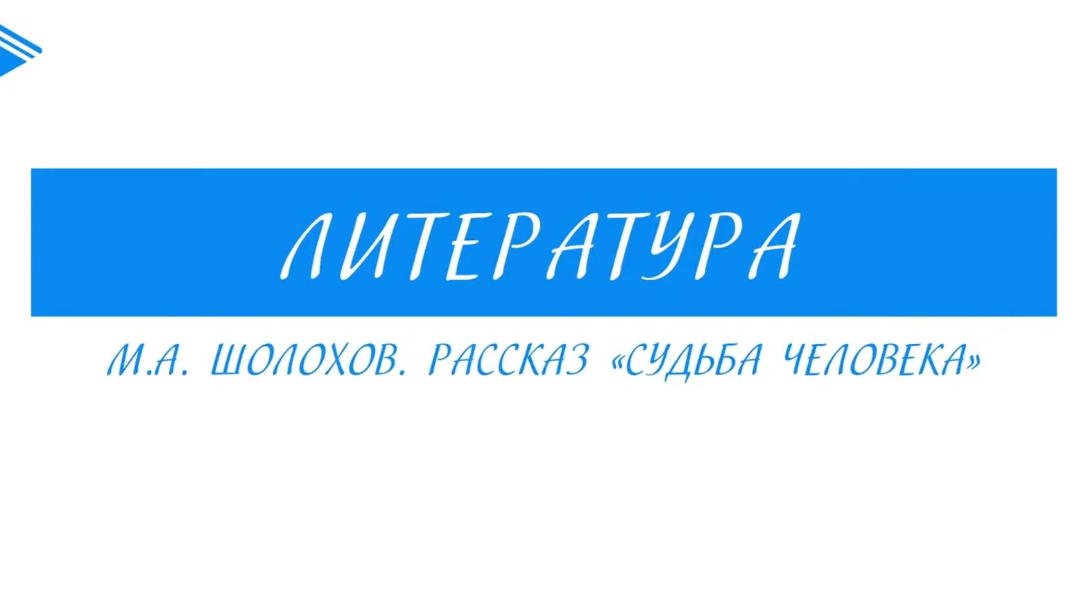 9 класс - Литература - М.А. Шолохов. Рассказ Судьба человека