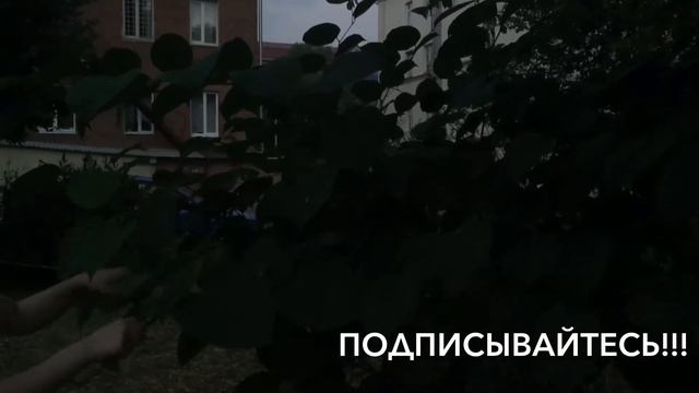 CHALLENGE: ВЫПОЛНИТЬ ЗАДАНИЯ ЗА 10 СЕКУНД!!! смотреть онлайн