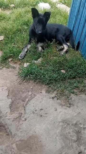 ав смотреть онлайн