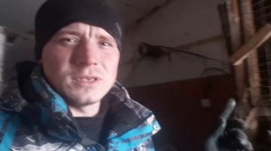 БИЗНЕС НА КРОЛИКАХ|ПЛАКАТЬ ИЛИ РАДОВАТЬСЯ Ч.2#кролиководство