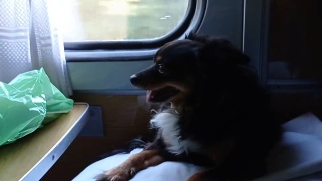 Москва - Минск смотреть онлайн