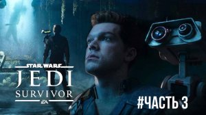 Star Wars Jedi Survivor #часть 3