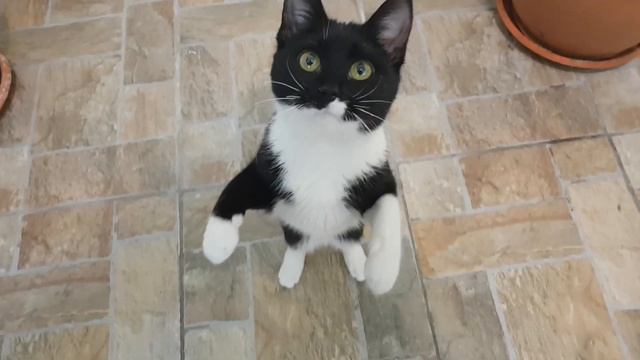 DIY 100W LED Flashlight - part1 смотреть онлайн