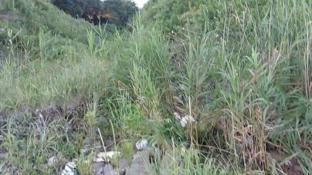 Берег после дождей. Третий мыс. Тавричанка 02.07.2023 смотреть онлайн