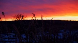 ВОТ ТАК ЗАРАБАТЫВАЮТ НА ЖИЗНЬ ДЕРЕВЕНСКИЕ ЛЮДИ | 260 КГ СВИНИНЫ | СКОЛЬКО МЫ ЗАРАБОТАЛИ ЗА ГОД