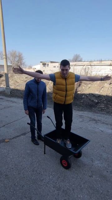 Тележка двухколесная