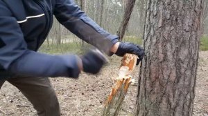Нож ПЕЧОРА ООО ПП Кизляр. Уличный тест