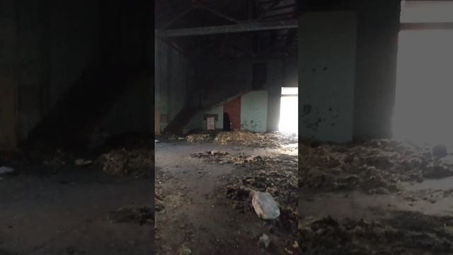 Нашли бетонный СПЕЦОБЪЕКТ в лесу, что с ним стало, почему он разрушен?