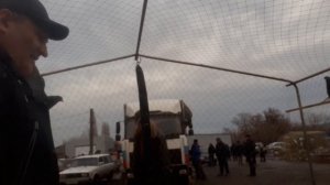 Продаю своих лишних голубей на ярмарке в Шахтах. Николаеские голуби. Вird market.