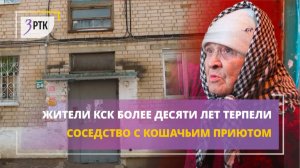 Жители КСК более десяти лет терпели соседство с кошачьим приютом