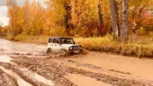 Уаз 31514 может на стоке