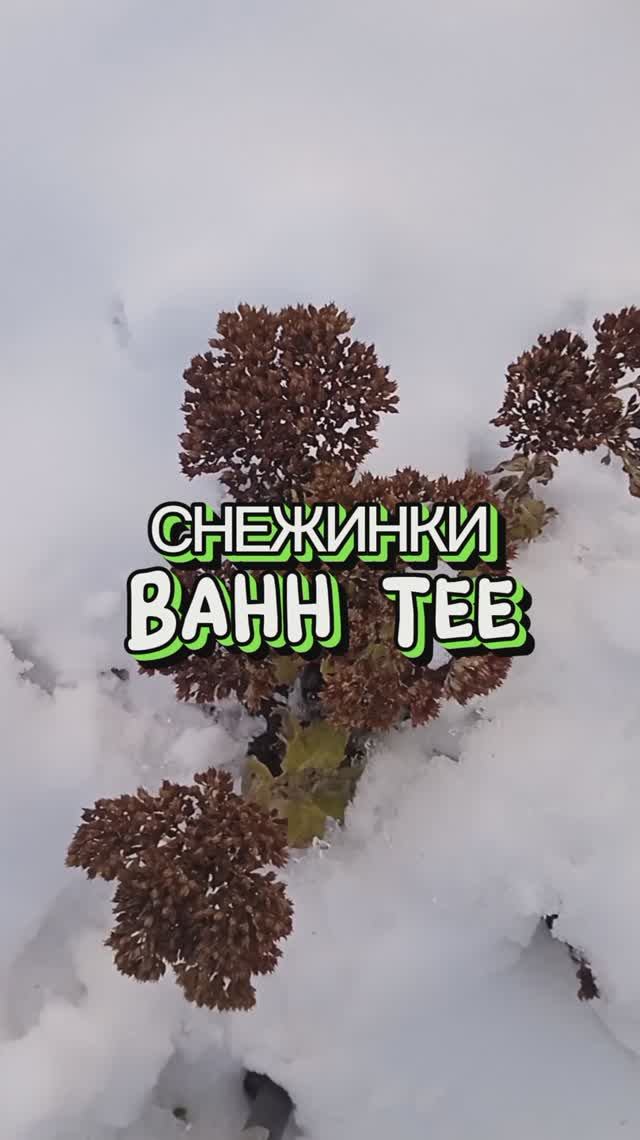 Снежинки. Пусть желания сбудутся!.mp4