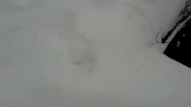 Trip to Starbucks смотреть онлайн