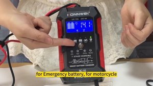 RC10 12V/10A 24V/5A smart battery charger