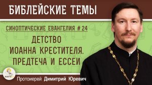 Синоптические Евангелия #24. Детство Иоанна Крестителя. Предтеча и ессеи (Лк.1:80). о.Дмитрий Юревич