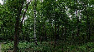 Прогулка по Самарскому ботаническому саду