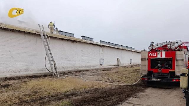 20 ЯНВАРЯ ПРОИЗОШЛО ВОЗГОРАНИЕ НА ПТИЦЕФАБРИКЕ В ЖЕЛЕЗНОГОРСКОМ РАЙОНЕ