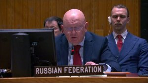 Statement by Permanent Representative Vassily Nebenzia at the UNSC Briefing on Haiti