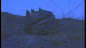 Программа «Служу Советскому Союзу», 1989 г. [2/5]