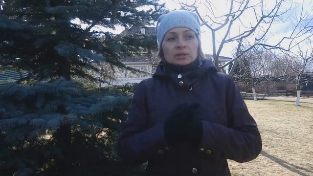 УХОД ЗА ГАЗОНОМ ВЕСНОЙ
