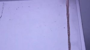 Прозрачная водонепроницаемая скатерть из ПВХ