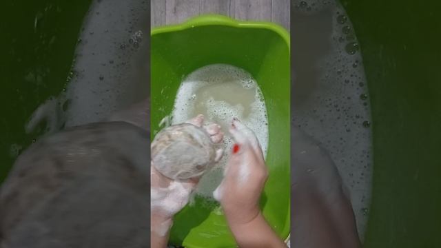 ЗАЛИПУШКИ 💕