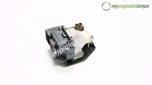 308929 Projector Lamp with Module