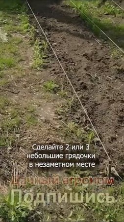 Хитрость для грядок И УРОЖАЙ ЗАВАЛИВАЕТ Дачный агроном