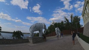 САМАРА, ДАЧА СО СЛОНАМИ, КРАСИВЫЕ ВИДЫ НА ВОЛГЕ