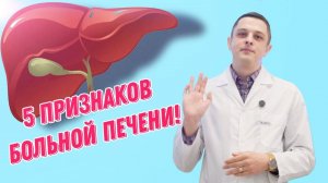 5 признаков нарушения работы печени!