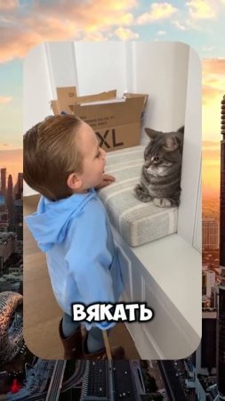 😻 ROMEO BARSKIY 👉 ЗАКРЫВАЙТЕ ОКНА 🤭 #romeobarskiy #mrromeobarskiy #romeo_barskiy #cat  #trending