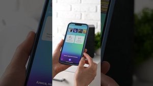 Подключение Проектора к Алисе