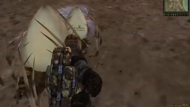 StalkerOnline задание "Паучьи коконы" смотреть онлайн