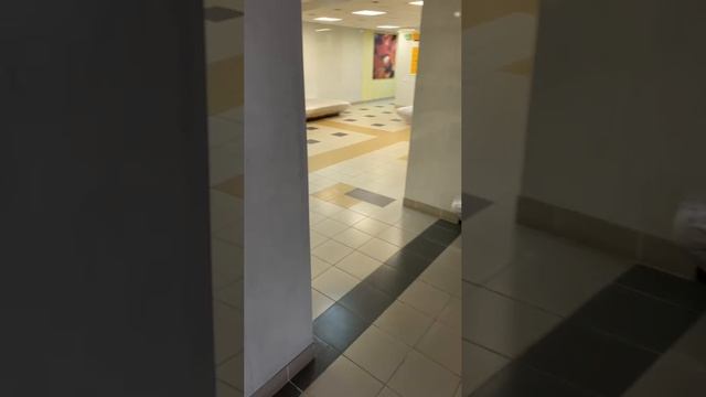 Аренда помещения свободного назначения, 230 м² смотреть онлайн