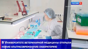 В Университете ветеринарной медицины будут выращивать эмбрионов для племенного животноводства