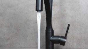 Смеситель для кухни с гибким поворотным изливом LEMARK SOUL LM6007BL