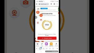 как купить пета на стар петц ?-(ответ)._.