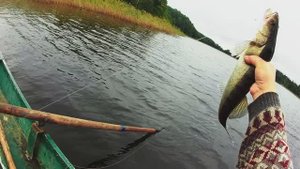 Это лучше чем кружки,летняя жерлица -донка ,убийца хищника.