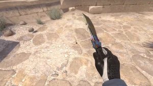 SURVIVAL KNIFE CASE HARDENED